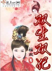 双生双妃封面