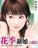 新娘十八岁封面