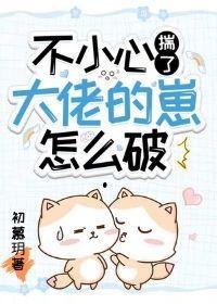 不小心揣了大佬的崽怎么破？封面