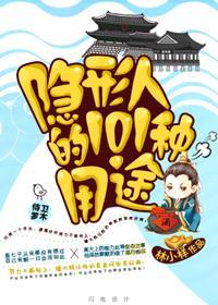 隐形人的101种用途封面