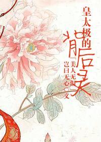 [美人无泪]皇太极的背后灵封面