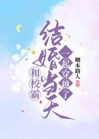 和校霸结婚当天一起穿越了封面