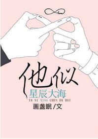 他似星辰大海封面