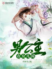 男公主在女儿国封面