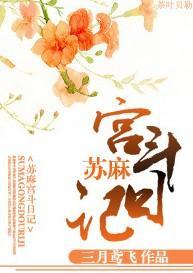 苏麻宫斗日记封面