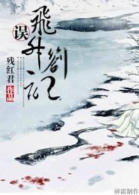 误·飞升札记封面