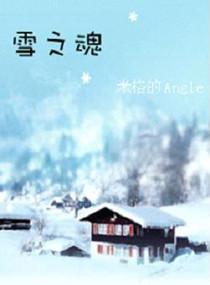 雪之魂封面