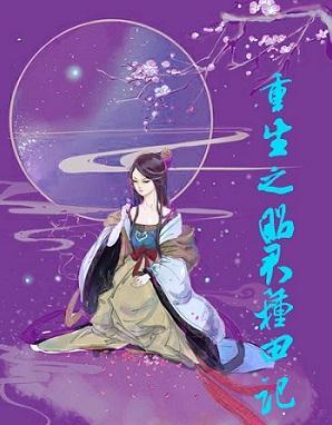 重生之昭君种田记封面