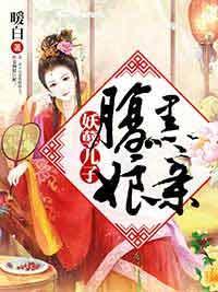 与君共枕封面