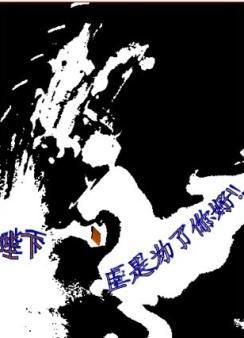 陛下，臣是为了你好封面