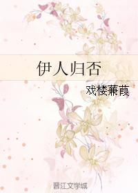 伊人归否封面