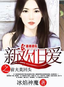 新欢旧爱之前夫莫回头封面