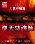 风流医师封面