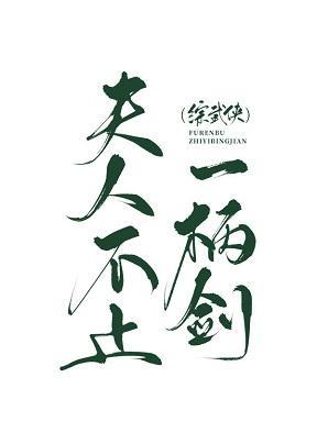 夫人不止一柄剑[综武侠]封面