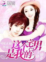 天降仙妻：这个宅男是我的封面