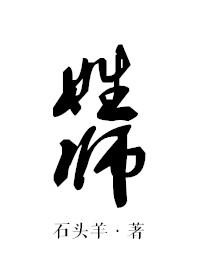 姓师封面