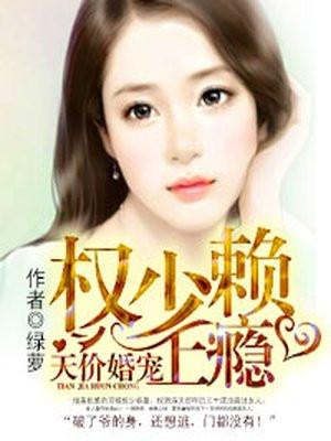 天价婚宠封面