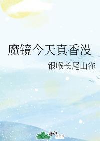 魔镜今天真香没封面
