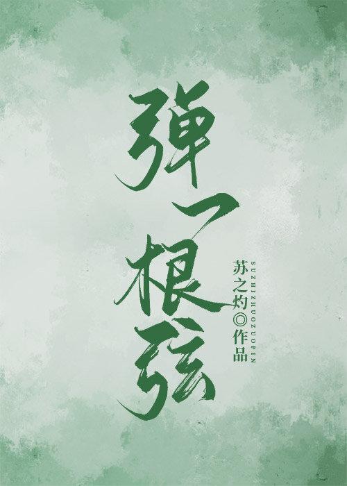 弹一根弦封面