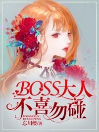 BOSS大人，不喜勿碰！封面