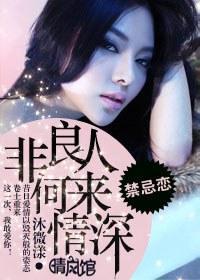 非良人何来情深封面