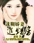迷糊娇妻进错门封面