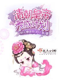 清朝皇帝养成计划封面