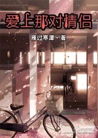 爱上那对情侣封面