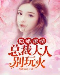 隐婚撩情：总裁大人别玩火封面