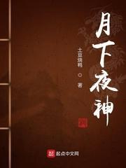 月下夜神封面