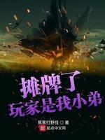 摊牌了玩家是我小弟封面