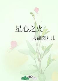 星心之火封面