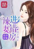 帝少狂宠：辣妻进错房封面