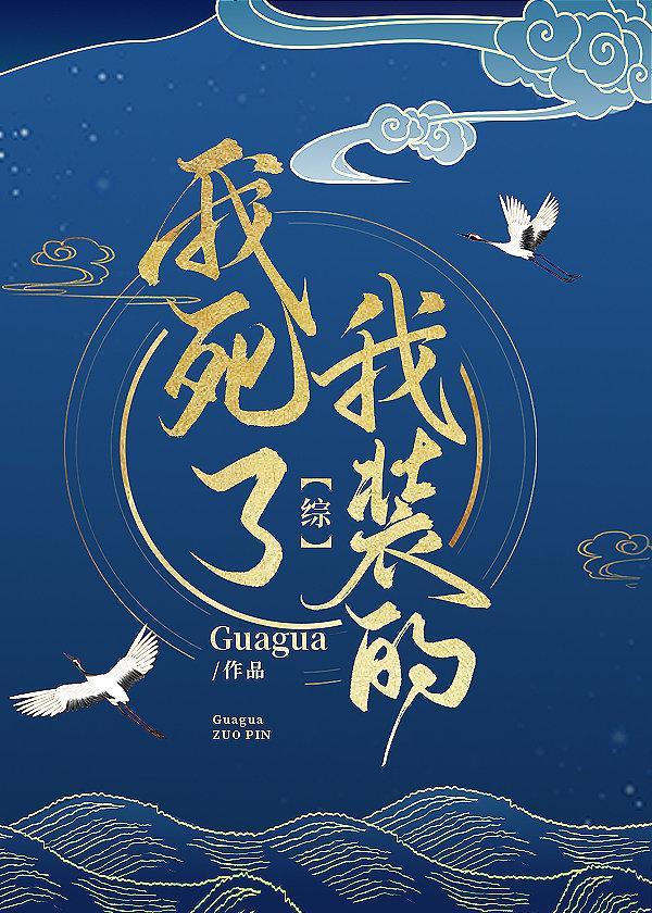 我死了，我装的封面