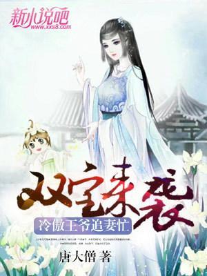 双宝来袭，冷傲王爷追妻忙封面