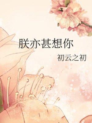 朕亦甚想你封面