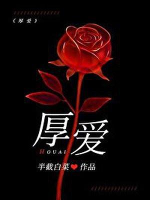 厚爱封面