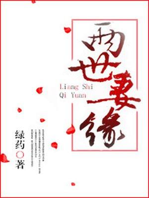 两世妻缘封面