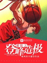 灌篮之登峰造极封面