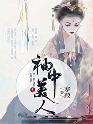 袖中美人封面