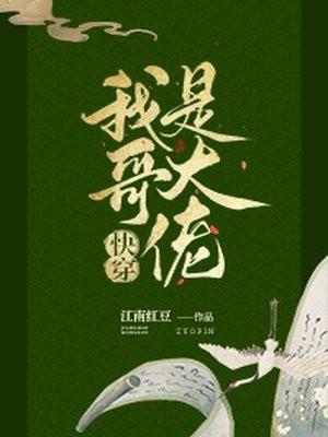 我哥是大佬封面