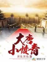 大唐小愤青封面