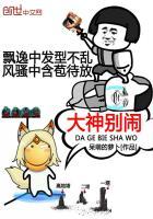 大神别闹封面