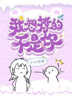 我想撩的不是你封面
