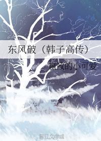 东风破（韩子高传）封面