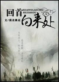 （射雕双穿）回首向来处封面