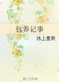 包养记事封面