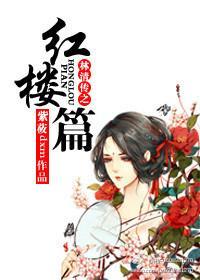 林清传之红楼篇封面