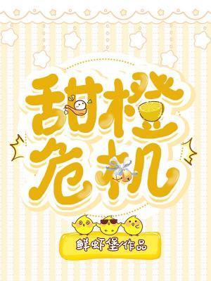 甜橙危机封面