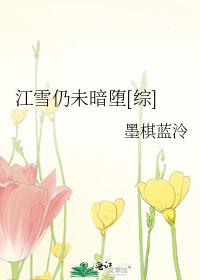 江雪仍未暗堕封面